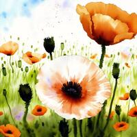 Summer concept. Beautiful watercolor Poppies. A radiant Poppies. Natures Beauty. photo