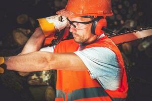 Timber Works Lumber Worker photo