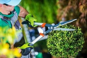 Gardener Trimming Plants photo