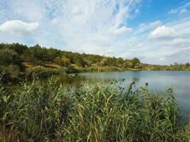 Beautiful lake in a village near a pine forest photo