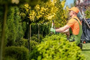 jardinero podando plantas foto