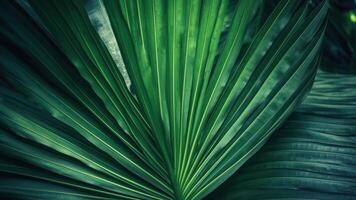 Beautiful green palm leaves background. Tropical nature concept. Selective focus. Created with Generative AI technology. photo