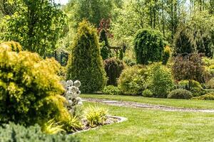 Backyard Garden with Mature Decorative Plants photo