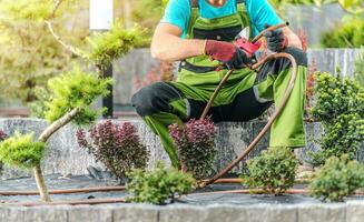 Backyard Garden Drip Irrigation System Building photo