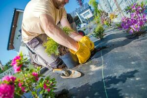 Man working on the garden photo