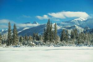 Polish Tatra Mountains photo