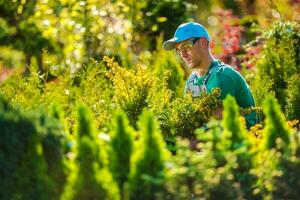 Pro jardinero en el jardín foto