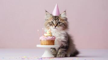 Birthday cat with cake. Illustration photo