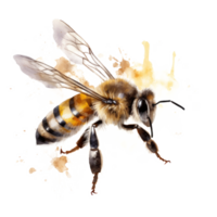 mon chéri abeille isolé. illustration ai génératif png