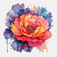 Watercolor beautiful peony flower. Illustration photo