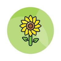 Beautifully designed icon of sunflower in editable style, easy to use icon vector