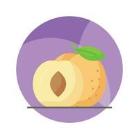 Yummy apricot vector design, icon of healthy fruits in modern style