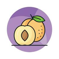 Yummy apricot vector design, icon of healthy fruits in modern style