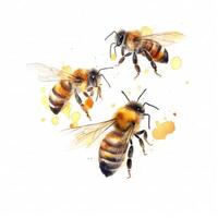 Honey bee isolated. Illustration photo