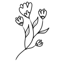 Illustrated decorative flower line art element. Hand-drawn flower outline. png