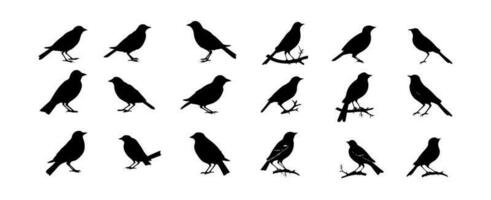 Birds silhouettes. Black bird outline shapes isolated on white background. Vector illustration