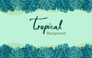 Monstera leaves and plant tropical with frame banner, room for text. Vector design illustration.