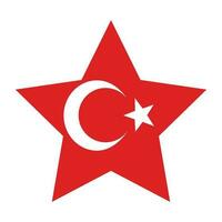 Flag of Turkey in shape. Turkey flag in shape. vector