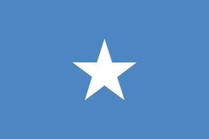 Flag of Somalia. Somalian flag in design shape vector