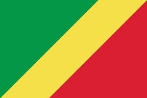 Congo flag. Flag of Congo in design shape vector