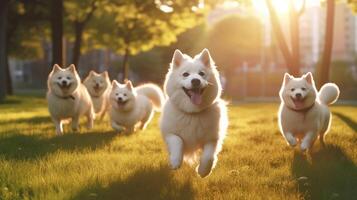 linda gracioso perros grupo corriendo y jugando en verde césped en parque en Mañana Dom creciente, generativo ai foto