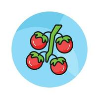 Get hold this captivating icon of tomatoes in modern style, ready to use vector