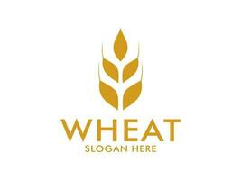 Wheat Grain Logo Vector Template