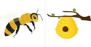 para niños juego adivinar dónde es cuyo casa, tarjetas, niño desarrollo, quien vive en el casa, abeja, avispa, Colmena, colmenar vector