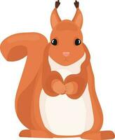 squirrel cartoon style vector illustration