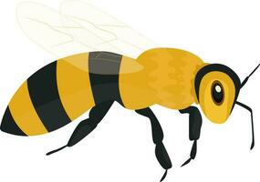 bee, wasp, vector illustration color, insect, striped bee