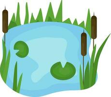 swamp, pond, vector illustration, water, sedge, reeds and water lilies float