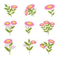 Pink Flowers and green leaves set, vector Illustration.