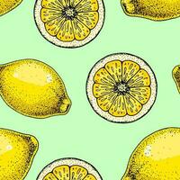 Lemon slice seamless pattern. Colorful hand drawn vector illustration in sketch style. Tropical exotic citrus fruit summer background