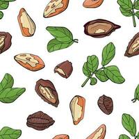 Seamless pattern with brazil nuts. Design for fabric, textile, wallpaper, packaging. vector