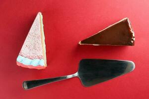 Rainbow Chocolate crepe layer cake two slice spoon top view red background copy space photo