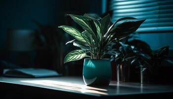 Green houseplant on wooden table near window in modern home generated by AI photo