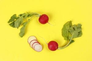 Small red radish on yellow background photo