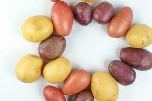 red purple yellow multi tri color small baby potato on white background frame border copy text space photo