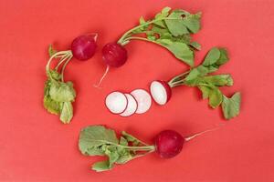 Small red radish on red ackground photo
