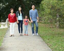 Sureste asiático multigeneracion familia padres hija abuela padre madre niño actitud contento sentar estar al aire libre parque foto