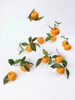 mandarin orange green leaf float fall drop on white background photo