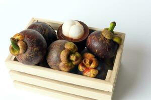 Mangosteen purple sweet sower heaty fruit on white background photo