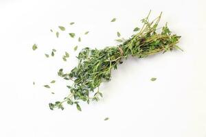 Thyme leaf Herb green fragrant branch on white background photo