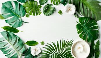 Top view of Tropical leaves on white wooden with white tablecloth background, photo