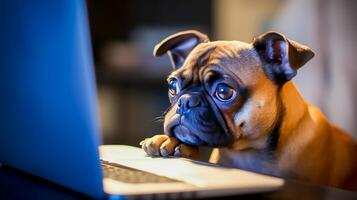 linda perro mirando en ordenador portátil monitor pantalla a hogar, ai generativo foto
