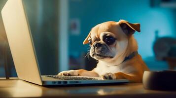 cute dog looking on laptop monitor screen at home, photo