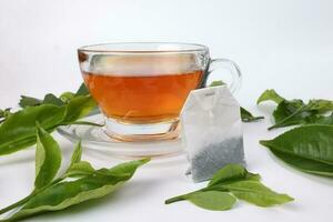 different types of fresh raw green tea leaf flower bud transparent glass teacup liquid tea bag on white background photo