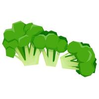 Green broccoli in the composition vector