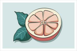 A juicy half cut grapefruit. Cartoon style with outline and colored fill. Isolated on mint background. Illustrations for design and decoration. vector