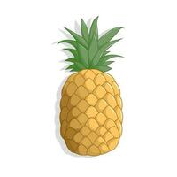 Pineapple icon illustration. Tropical summer and vacation theme. Isolated design. Vector illustration